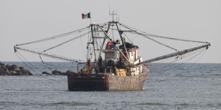Conapesca confirmó que a las 00:00 horas del 20 de marzo iniciará la veda del camarón en el Océano Pacífico