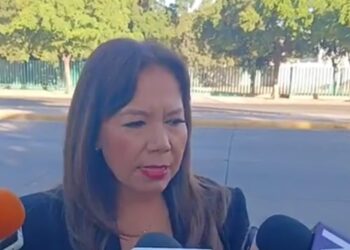 Cinco femimicidios y sólo dos detenidos en 2024: SMujeres