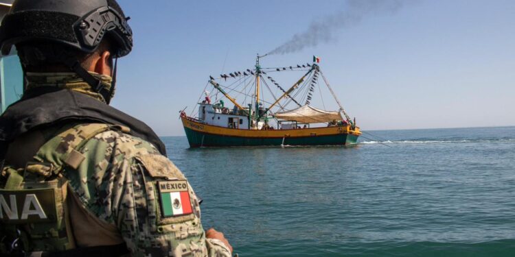 Acuerdan autoridades federales reforzar acciones de vigilancia durante la veda de camarón