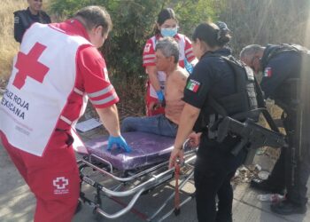 Agreden con una “cuarta” para caballos a un adulto mayor en Perisur