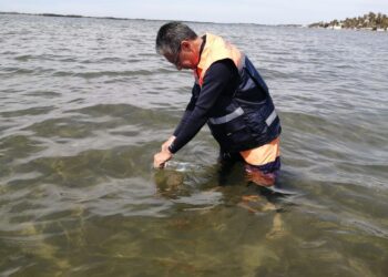 Playas de Sinaloa son aptas para uso recreativo: COEPRISS