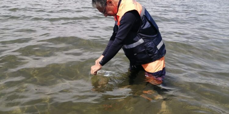 Playas de Sinaloa son aptas para uso recreativo: COEPRISS