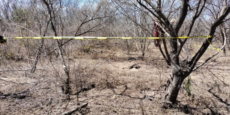 Hallan restos humanos al nororiente de El Diez