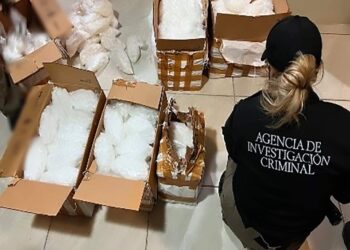 Asegura FGR drogas, armas de fuego, dinero en efectivo y un Leopardo en la casa de seguridad cateada en Tierra Blanca