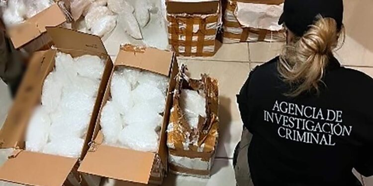 Asegura FGR drogas, armas de fuego, dinero en efectivo y un Leopardo en la casa de seguridad cateada en Tierra Blanca