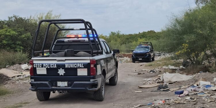 Hallan restos humanos calcinados en Portalegre II