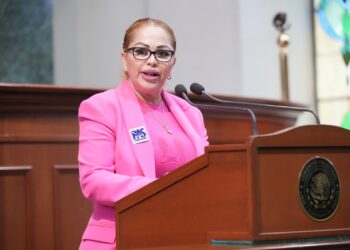 Diputadas señalan la necesidad de prevenir los accidentes carreteros
