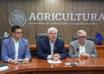 Acuerdan productores, industria y gobierno esquema comercial para maíz blanco del ciclo Otoño-Invierno 2023-2024