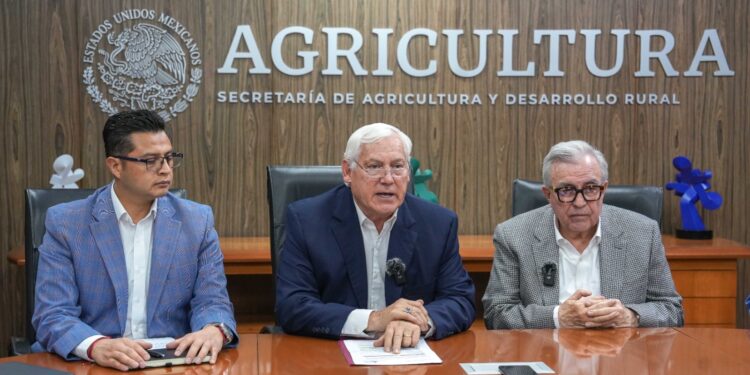 Acuerdan productores, industria y gobierno esquema comercial para maíz blanco del ciclo Otoño-Invierno 2023-2024