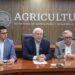 Acuerdan productores, industria y gobierno esquema comercial para maíz blanco del ciclo Otoño-Invierno 2023-2024