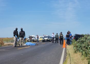 Muere adulto mayor atroprllado en “La Palma”