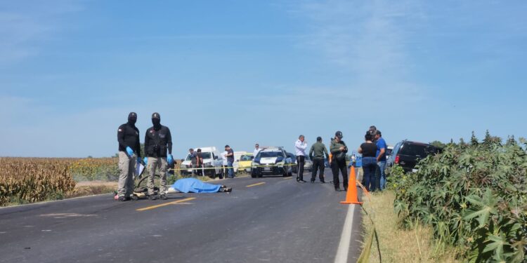 Muere adulto mayor atroprllado en “La Palma”