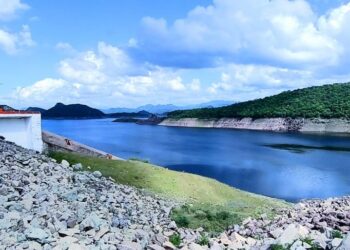 Crisis hídrica que vive Sinaloa compromete a la agricultura en Sinaloa, pues se tendrá que reducir la superficie de siembra del maíz, señala experto