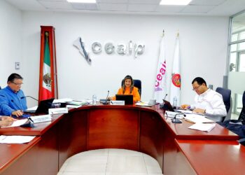 Si la información pública ya se difundió en medios electrónicos es válido entregarla en esa modalidad: CEAIP