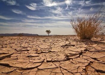 Ayuntamiento de Badiraguato atiende comunidades afectadas por la sequía