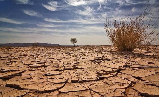 Ayuntamiento de Badiraguato atiende comunidades afectadas por la sequía