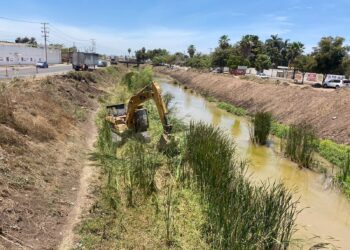 Limpieza y desazolve de arroyos y canales de la ciudad registra avance del 60 por ciento