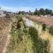 Limpieza y desazolve de arroyos y canales de la ciudad registra avance del 60 por ciento