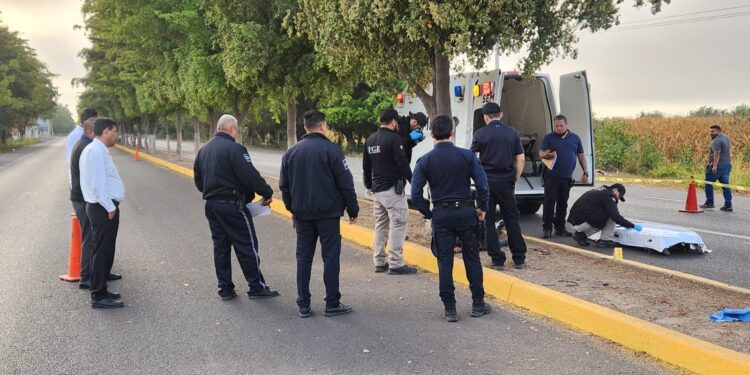 Motociclista muere en accidente y desconocidos le roban la unidad en Navolato