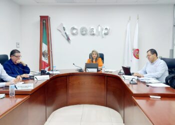 CEAIP aprueba cambios a lineamientos para facilitar la publicación de obligaciones de transparencia con información más clara