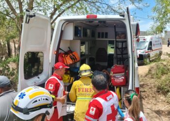 Elementos de Protección Civil salvan a un adulto mayor que fue picado por más de 200 abejas