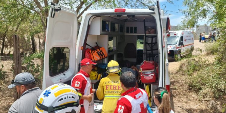 Elementos de Protección Civil salvan a un adulto mayor que fue picado por más de 200 abejas