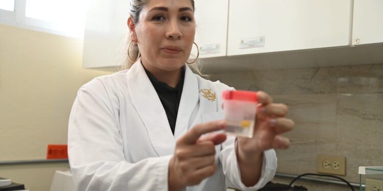 “La UAS no me juzgó y me brindó su apoyo”; Loranda Calderón, madre adolescente cobijada por la UAS que hoy es una reconocida investigadora