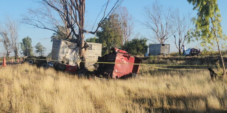 Padre e hijo accidentados mueren debido a las graves lesiones que sufrieron durante accidente en Baila