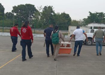 Instituciones zoológicas de la AZCARM no descartan que la muerte de primates en Tabasco y Chiapas pueda deberse a otros factores que se agudizan con las olas de calor