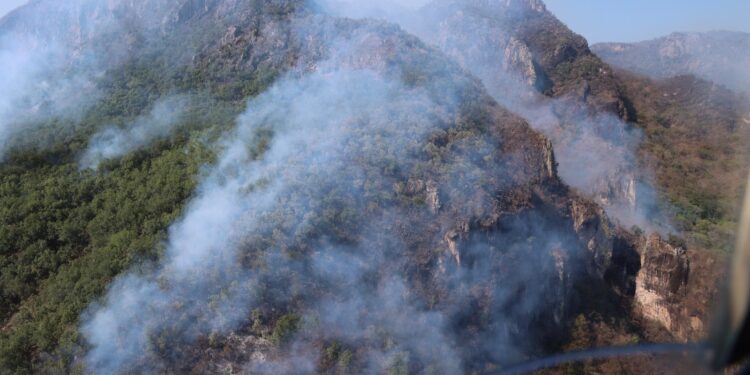Sebides supervisa zona afectada por incendio forestal en Elota; anuncia 134 personas combatiéndolo