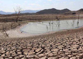 Sinaloa, con grados de sequía extrema, severa y excepcional: Marcos Bucio Pacheco