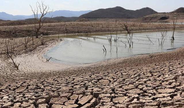 Sinaloa, con grados de sequía extrema, severa y excepcional: Marcos Bucio Pacheco