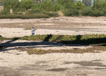 El Río Culiacán luce totalmente seco y es utilizado como “vialidad”