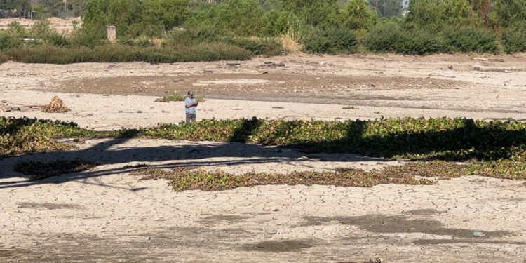 El Río Culiacán luce totalmente seco y es utilizado como “vialidad”