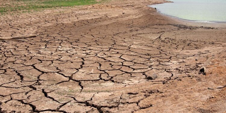 ¡Se agudiza sequía en Sinaloa! Las presas están en un 11.9 por ciento