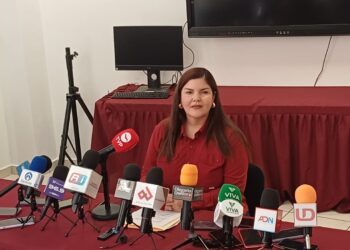 Yo soy legalmente la presidenta de Morena: Merary Villegas