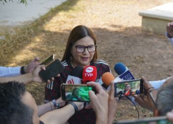 Que todos se sientan satisfechos de la democracia que hemos construido en México: Imelda Castro