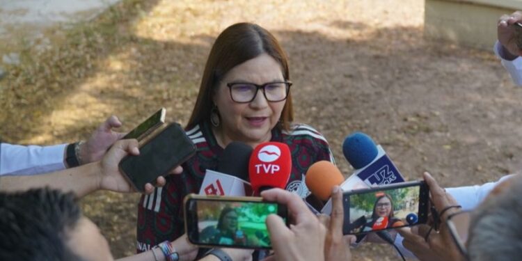 Que todos se sientan satisfechos de la democracia que hemos construido en México: Imelda Castro