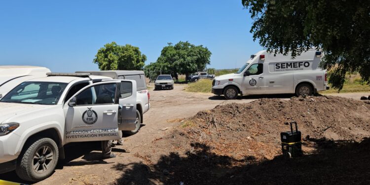 Localizan en Navolato a un hombre asesinado y atado de pies y manos con una banda tensadora