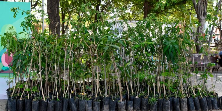 Ayuntamiento de Culiacán conmemora el Día Mundial del Medio Ambiente regalando más de 400 árboles