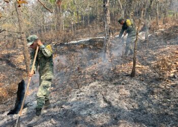 Ejército Mexicano aplicó el Plan DN-III-E para sofocar incendios forestales en el estado de Sinaloa