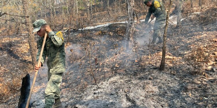 Ejército Mexicano aplicó el Plan DN-III-E para sofocar incendios forestales en el estado de Sinaloa