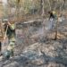 Ejército Mexicano aplicó el Plan DN-III-E para sofocar incendios forestales en el estado de Sinaloa
