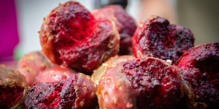 Invitan a disfrutar de la “Décima Fiesta de la Pitaya” en Culiacán