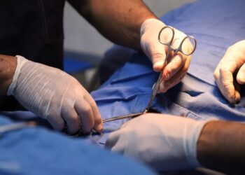 Exhortan a realizarse la prueba diagnóstica para prevenir el Cáncer de Próstata