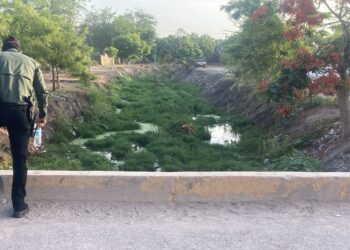Hallan asesinado a joven entre el lodo y las aguas negras de un arroyo en la Amistad