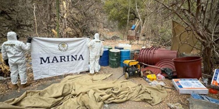 Marina desmantela tres laboratorios clandestinos en Culiacán