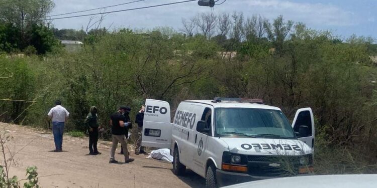 Era de Navolato el hombre hallado ayer asesinado y “encobijado” en El Diez