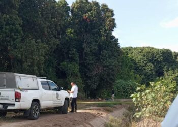 Localizan a 4 jóvenes asesinados a balazos en Los Arredondo, Navolato