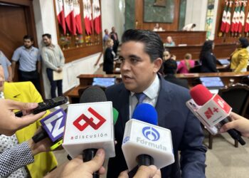 Avanza iniciativa en Congreso que busca apoyar a animales en condición de calle o abandono